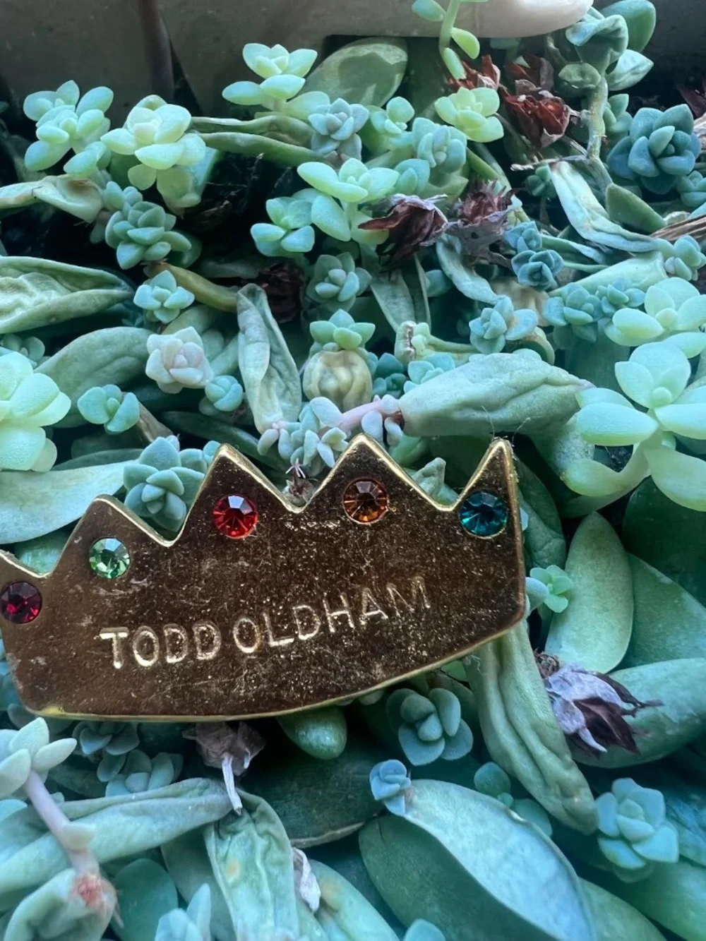 VTG Todd Oldham lapel pin highly collectible